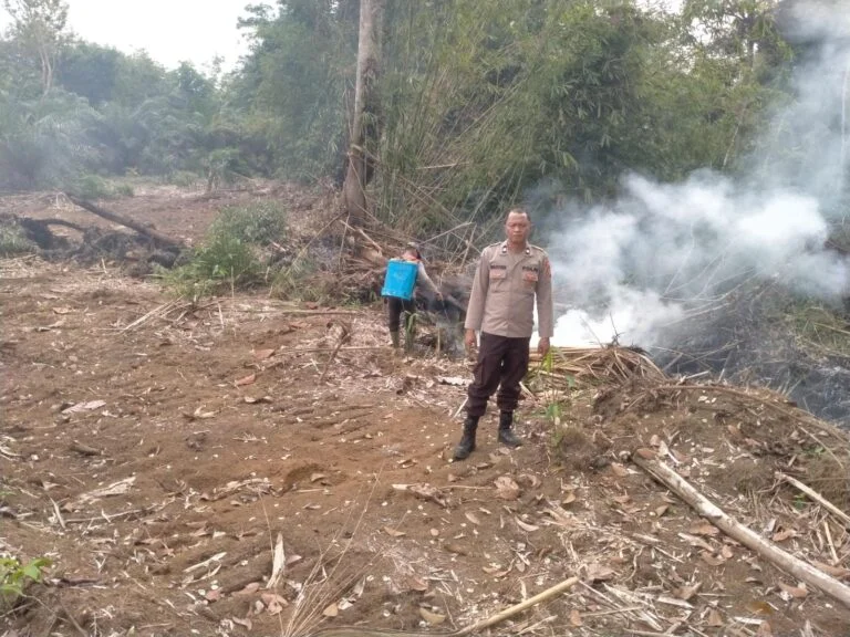 Tim Gabungan Berhasil Padamkan Kebakaran Hutan dan Lahan di Lubuk Linggau Utara